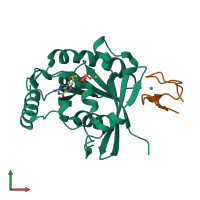 PDB entry 3gj3 coloured by chain, front view.