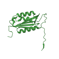 The deposited structure of PDB entry 3gjt contains 2 copies of CATH domain 3.40.50.1460 (Rossmann fold) in Caspase-3 subunit p17. Showing 1 copy in chain A.