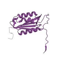 The deposited structure of PDB entry 3gjt contains 2 copies of Pfam domain PF00656 (Caspase domain) in Caspase-3 subunit p17. Showing 1 copy in chain A.