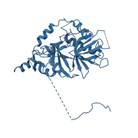 The deposited structure of PDB entry 3gjx contains 2 copies of CATH domain 3.30.470.30 (D-amino Acid Aminotransferase; Chain A, domain 1) in Snurportin-1. Showing 1 copy in chain D [auth E].