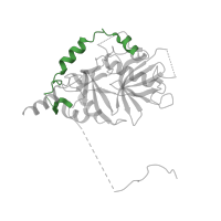 The deposited structure of PDB entry 3gjx contains 2 copies of Pfam domain PF11538 (Snurportin1) in Snurportin-1. Showing 1 copy in chain D [auth E].
