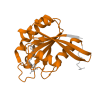 The deposited structure of PDB entry 3gjx contains 2 copies of Pfam domain PF00071 (Ras family) in GTP-binding nuclear protein Ran. Showing 1 copy in chain B [auth C].