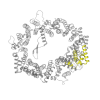 The deposited structure of PDB entry 3gjx contains 2 copies of Pfam domain PF03810 (Importin-beta N-terminal domain) in Exportin-1. Showing 1 copy in chain C [auth A].