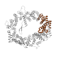 The deposited structure of PDB entry 3gjx contains 2 copies of Pfam domain PF08389 (Exportin 1-like protein) in Exportin-1. Showing 1 copy in chain C [auth A].