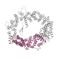 The deposited structure of PDB entry 3gjx contains 2 copies of Pfam domain PF08767 (CRM1 C terminal) in Exportin-1. Showing 1 copy in chain C [auth A].