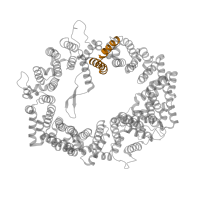 The deposited structure of PDB entry 3gjx contains 2 copies of Pfam domain PF18777 (Chromosome region maintenance or exportin repeat) in Exportin-1. Showing 1 copy in chain C [auth A].
