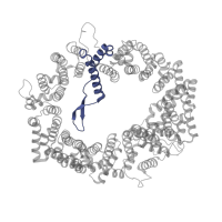 The deposited structure of PDB entry 3gjx contains 2 copies of Pfam domain PF18784 (CRM1 / Exportin repeat 2) in Exportin-1. Showing 1 copy in chain C [auth A].