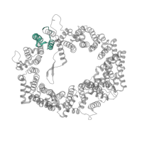 The deposited structure of PDB entry 3gjx contains 2 copies of Pfam domain PF18787 (CRM1 / Exportin repeat 3) in Exportin-1. Showing 1 copy in chain C [auth A].