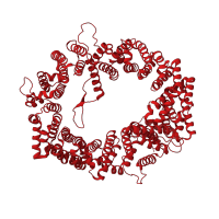 The deposited structure of PDB entry 3gjx contains 1 copy of CATH domain 1.25.10.10 (Leucine-rich Repeat Variant) in Exportin-1. Showing 1 copy in chain F [auth D].