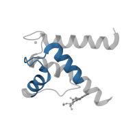 The deposited structure of PDB entry 3gk4 contains 1 copy of Pfam domain PF00036 (EF hand) in Protein S100-B. Showing 1 copy in chain A [auth X].