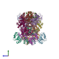PDB entry 3glg coloured by chain, side view.