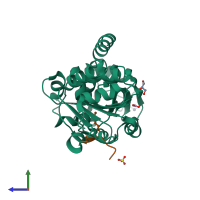 PDB entry 3glr coloured by chain, side view.