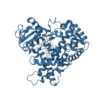 The deposited structure of PDB entry 3gph contains 2 copies of Pfam domain PF00067 (Cytochrome P450) in Cytochrome P450 2E1. Showing 1 copy in chain A.