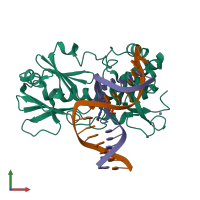 PDB entry 3gpy coloured by chain, front view.