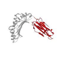 The deposited structure of PDB entry 3gsx contains 1 copy of CATH domain 2.60.40.10 (Immunoglobulin-like) in HLA class I histocompatibility antigen, A alpha chain. Showing 1 copy in chain A.