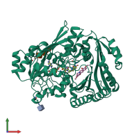 PDB entry 3gsy coloured by chain, front view.