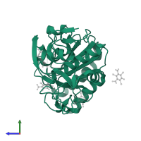 Proteinase K in PDB entry 3gt3, assembly 1, side view.