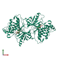 Homo dimeric assembly 2 of PDB entry 3gt8 coloured by chemically distinct molecules, front view.