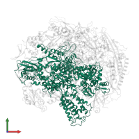 DNA-directed RNA polymerase II subunit RPB1 in PDB entry 3gtl, assembly 1, front view.