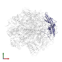 DNA-directed RNA polymerase II subunit RPB3 in PDB entry 3gtl, assembly 1, front view.
