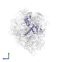 DNA-directed RNA polymerase II subunit RPB3 in PDB entry 3gtl, assembly 1, side view.