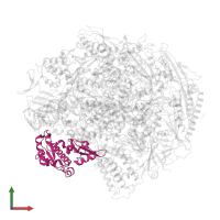 DNA-directed RNA polymerases I, II, and III subunit RPABC1 in PDB entry 3gtl, assembly 1, front view.