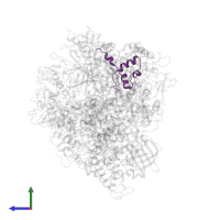 DNA-directed RNA polymerases I, II, and III subunit RPABC5 in PDB entry 3gtl, assembly 1, side view.