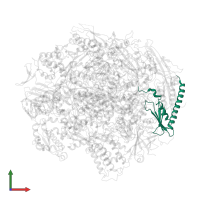 DNA-directed RNA polymerase II subunit RPB11 in PDB entry 3gtl, assembly 1, front view.