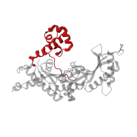 The deposited structure of PDB entry 3gv5 contains 2 copies of CATH domain 1.10.150.20 (DNA polymerase; domain 1) in DNA polymerase iota. Showing 1 copy in chain D.