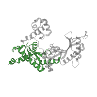 The deposited structure of PDB entry 3gv5 contains 2 copies of CATH domain 3.30.70.270 (Alpha-Beta Plaits) in DNA polymerase iota. Showing 1 copy in chain D.