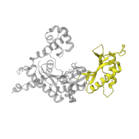 The deposited structure of PDB entry 3gv5 contains 2 copies of Pfam domain PF11799 (impB/mucB/samB family C-terminal domain) in DNA polymerase iota. Showing 1 copy in chain D.