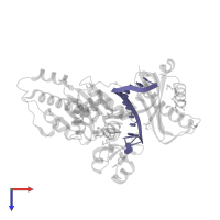 5'-D(P*CP*AP*TP*TP*CP*TP*CP*AP*TP*CP*CP*AP*C)-3' in PDB entry 3gv5, assembly 1, top view.