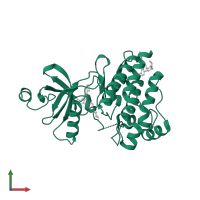 Tyrosine-protein kinase ABL2 in PDB entry 3gvu, assembly 1, front view.