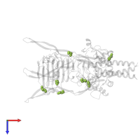 DI(HYDROXYETHYL)ETHER in PDB entry 3gw6, assembly 1, top view.