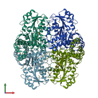PDB entry 3gwp coloured by chain, front view.