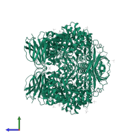 Lysosomal acid glucosylceramidase in PDB entry 3gxf, assembly 1, side view.