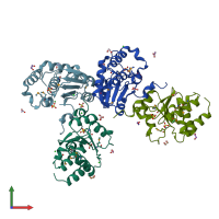 PDB entry 3gxg coloured by chain, front view.