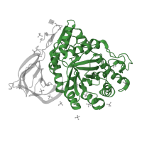 The deposited structure of PDB entry 3gxi contains 4 copies of Pfam domain PF02055 (Glycosyl hydrolase family 30 TIM-barrel domain) in Lysosomal acid glucosylceramidase. Showing 1 copy in chain A.