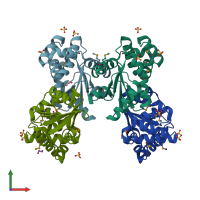 PDB entry 3gyk coloured by chain, front view.