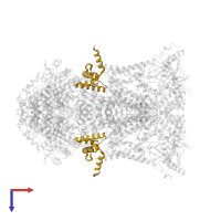 Cytochrome b-c1 complex subunit 7 in PDB entry 3h1j, assembly 1, top view.