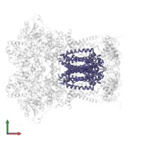 Cytochrome b in PDB entry 3h1k, assembly 1, front view.