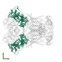 Mitochondrial ubiquinol-cytochrome-c reductase complex core protein i in PDB entry 3h1l, assembly 1, front view.
