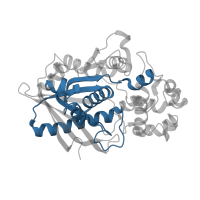 The deposited structure of PDB entry 3h2g contains 1 copy of Pfam domain PF03583 (Secretory lipase) in Dipeptidyl aminopeptidases/acylaminoacyl-peptidases. Showing 1 copy in chain A.