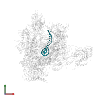 5'-R(*UP*GP*CP*AP*UP*UP*UP*CP*GP*CP*AP*AP*UP*AP*AP*A)-3' in PDB entry 3h3v, assembly 1, front view.