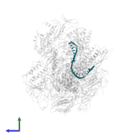 5'-R(*UP*GP*CP*AP*UP*UP*UP*CP*GP*CP*AP*AP*UP*AP*AP*A)-3' in PDB entry 3h3v, assembly 1, side view.