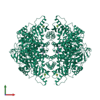 Homo tetrameric assembly 1 of PDB entry 3h6o coloured by chemically distinct molecules, front view.