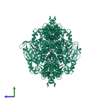 Homo tetrameric assembly 1 of PDB entry 3h6o coloured by chemically distinct molecules, side view.