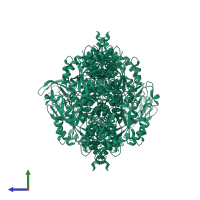 Pyruvate kinase PKM in PDB entry 3h6o, assembly 1, side view.