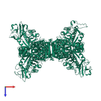 Pyruvate kinase PKM in PDB entry 3h6o, assembly 1, top view.