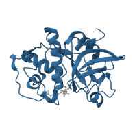 The deposited structure of PDB entry 3h7d contains 2 copies of Pfam domain PF00112 (Papain family cysteine protease) in Cathepsin K. Showing 1 copy in chain A.